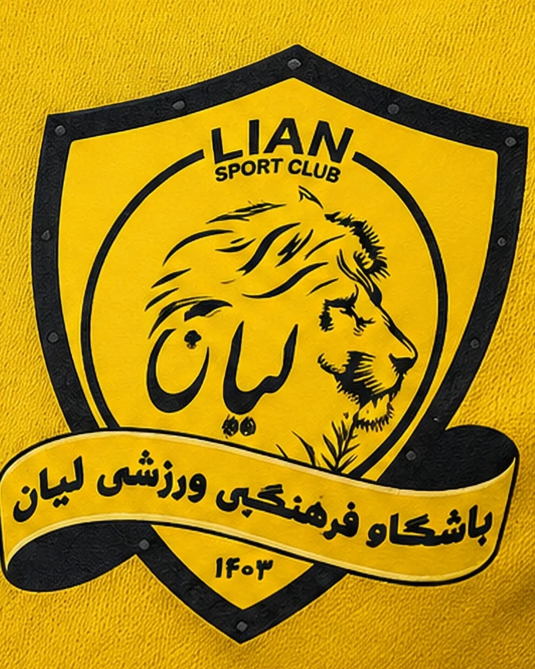 آکادمی فوتبال لیان